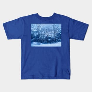 Winter Dreams Kids T-Shirt